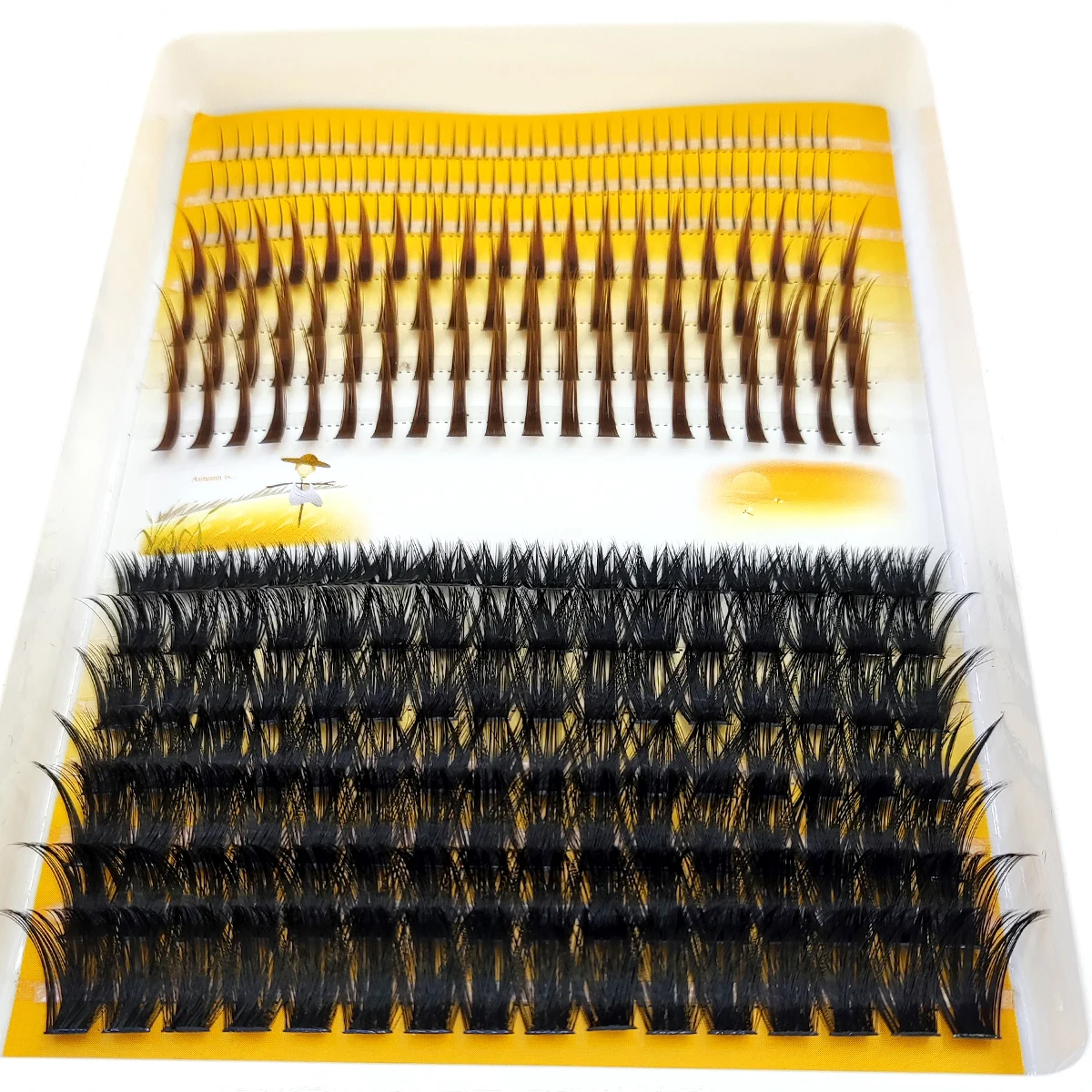 Eyelash Extension Doll Eye - AMSDCN 60D-120D kępki rzęs 3D spiczaste,