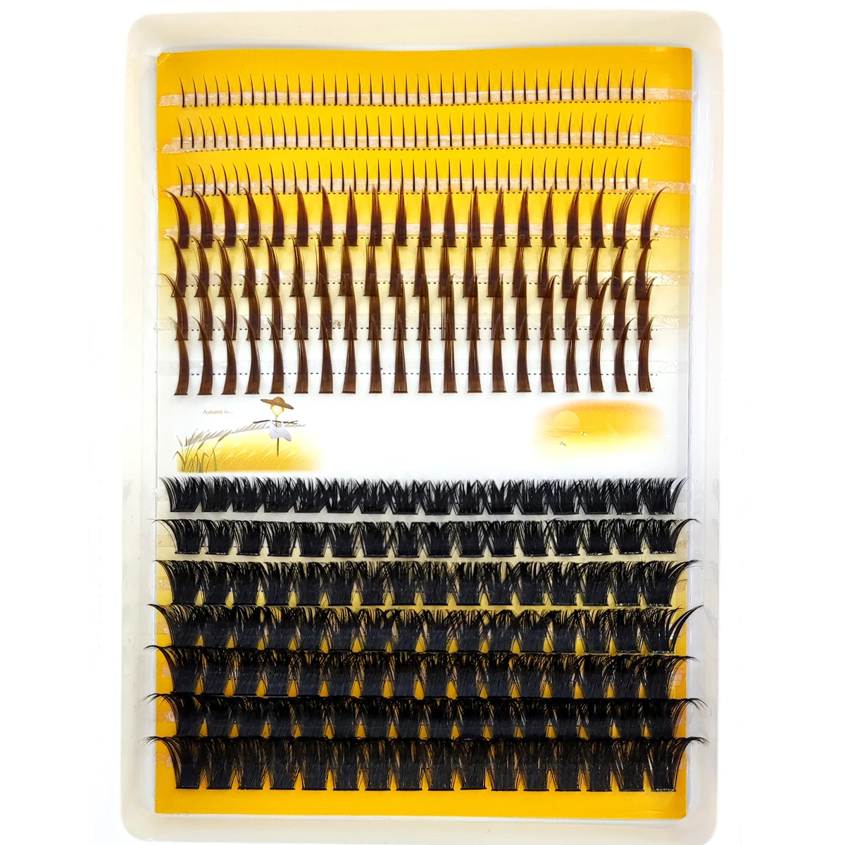 AMSDCN 60D-120D kępki rzęs 3D  – Eyelash Extension Doll Eye recenzja i cena